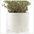 selfwateringplanter